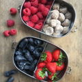 Yummii Yummii Bento Small 2 rustfritt stål matboks 2 rom