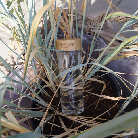 Yummii Yummii Glass Bottle 600 ml - Natural Glass Bottles Borosilicate Glass